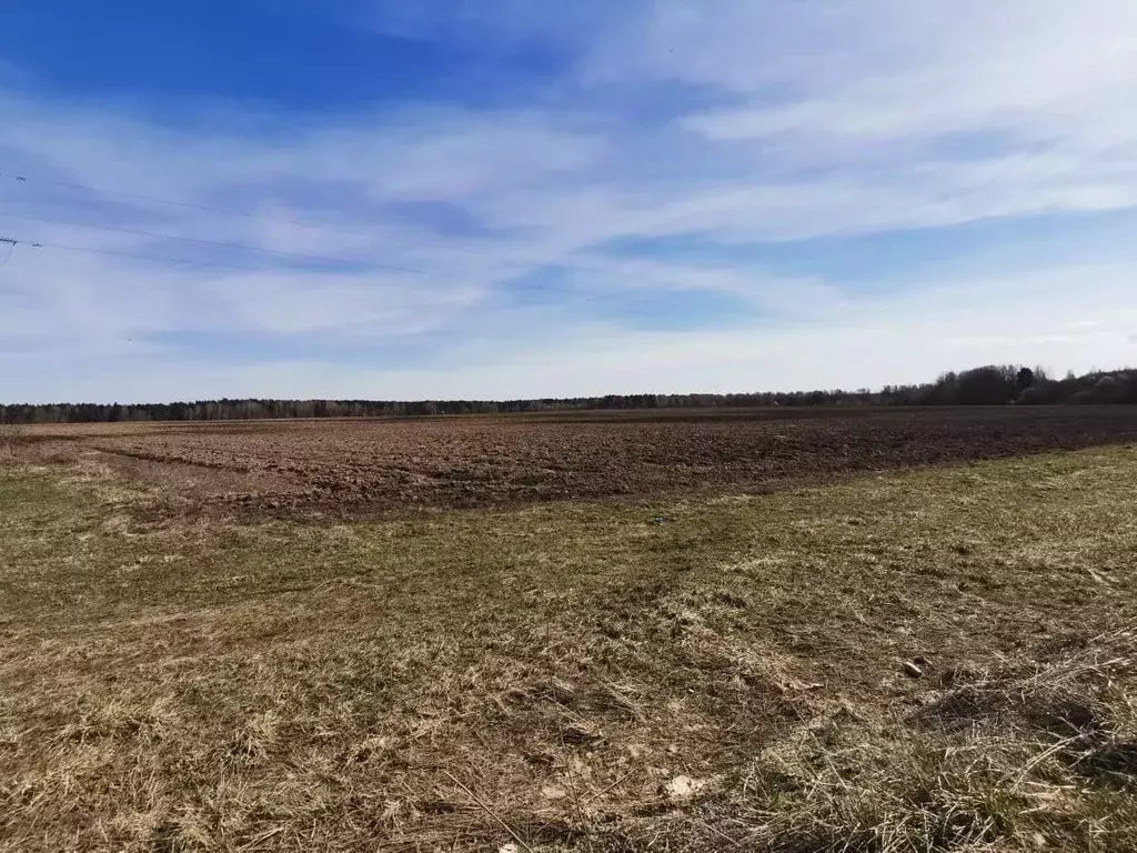 Участок в Владимирская область, Александровский район, Андреевское ... - Фото 1