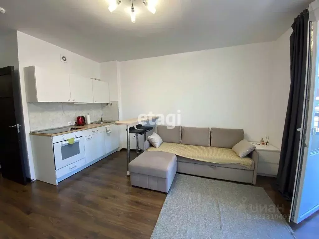 Студия Санкт-Петербург просп. Ветеранов, 171к5 (27.0 м) - Фото 2