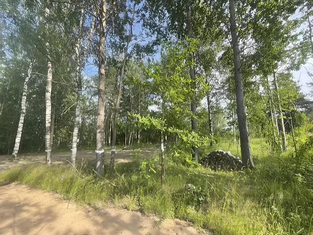 Участок в Ленинградская область, Всеволожский район, Колтушское ... - Фото 1