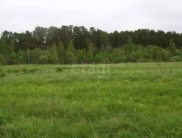 Участок в Курган, Зайково (11.26 м) - Фото 2