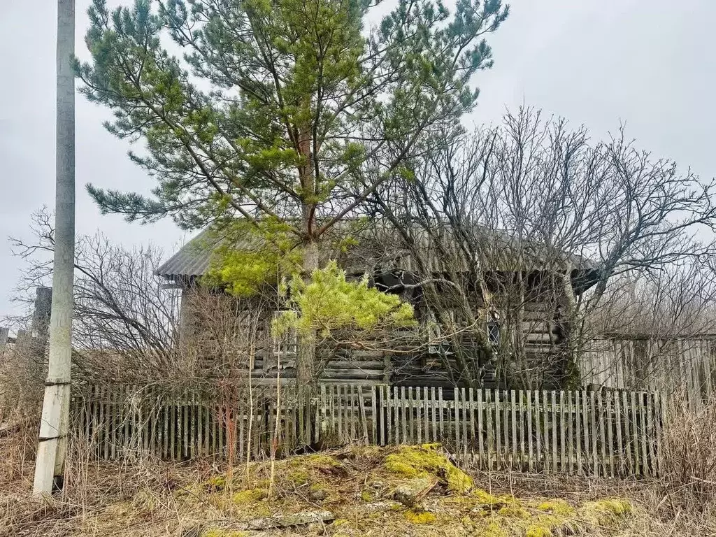 Участок в Свердловская область, Слободо-Туринский район, ... - Фото 1