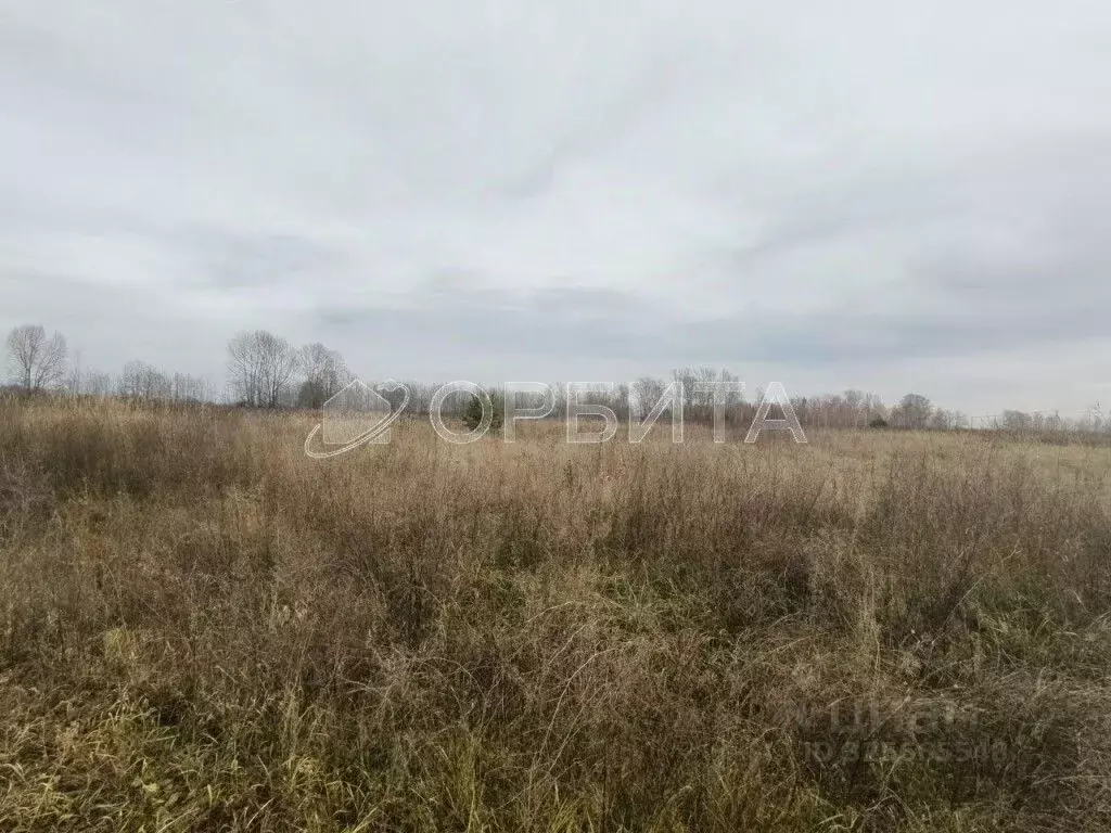 Участок в Тюменская область, Тюменский муниципальный округ, ... - Фото 2