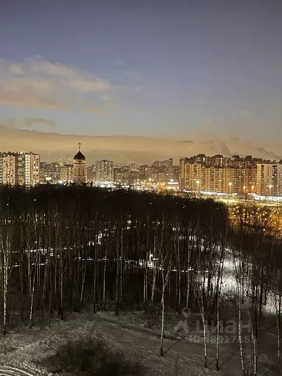 1-к кв. Ленинградская область, Кудрово г. Всеволожский район, ... - Фото 1