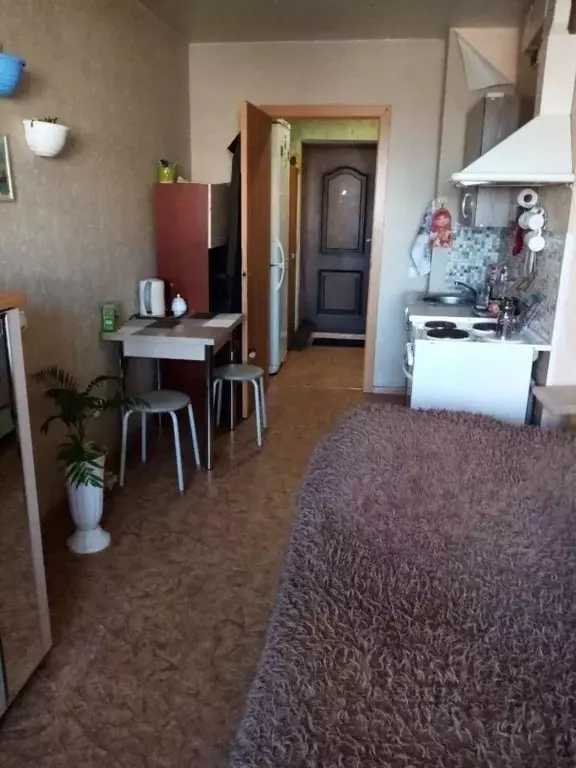 Студия Иркутская область, Иркутск ул. Розы Люксембург, 118/1 (21.0 м) - Фото 2