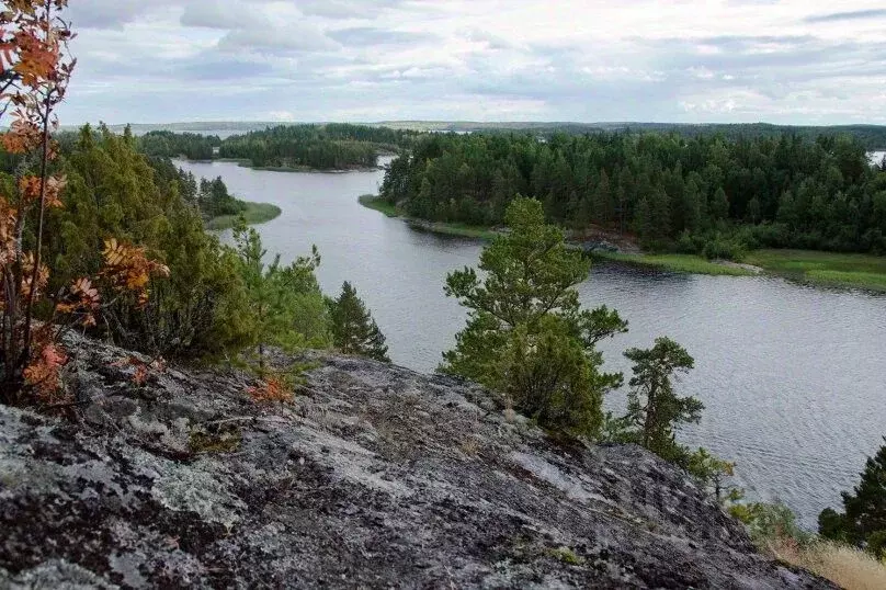 Дом в Карелия, Лахденпохский район, Мийнальское с/пос, пос. Харвиа  ... - Фото 2
