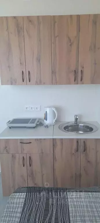 1-к кв. Красноярский край, Красноярск бул. Солнечный, 11 (19.4 м) - Фото 0