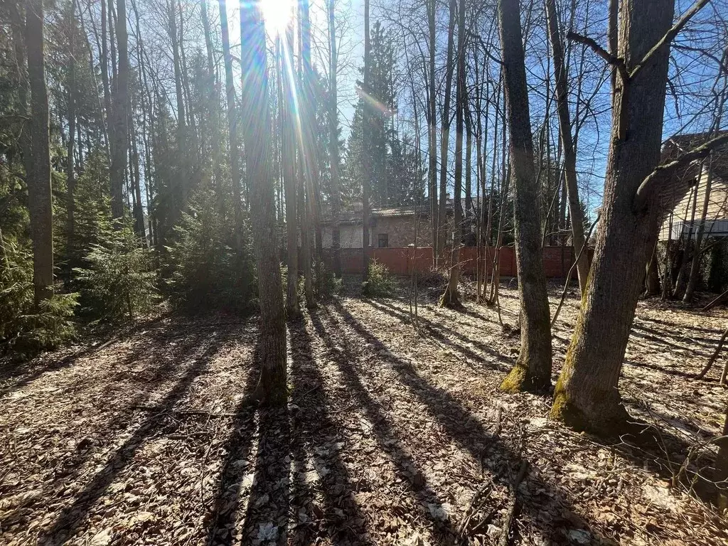 Участок в Московская область, Одинцовский городской округ, Гранат СНТ ... - Фото 1