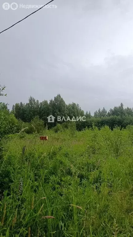 Участок в посёлок городского типа Пряжа, Павлова Пряжа (7.3 м) - Фото 1