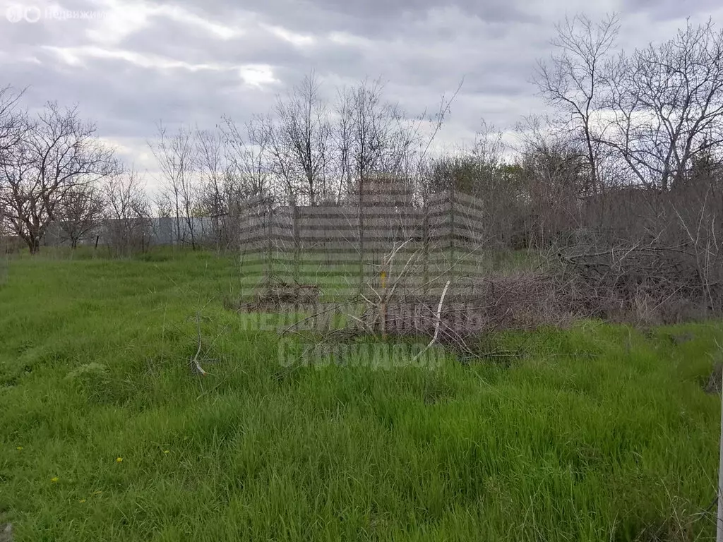 Участок в Таганрог, садовое товарищество Дачное-3 (6 м) - Фото 2