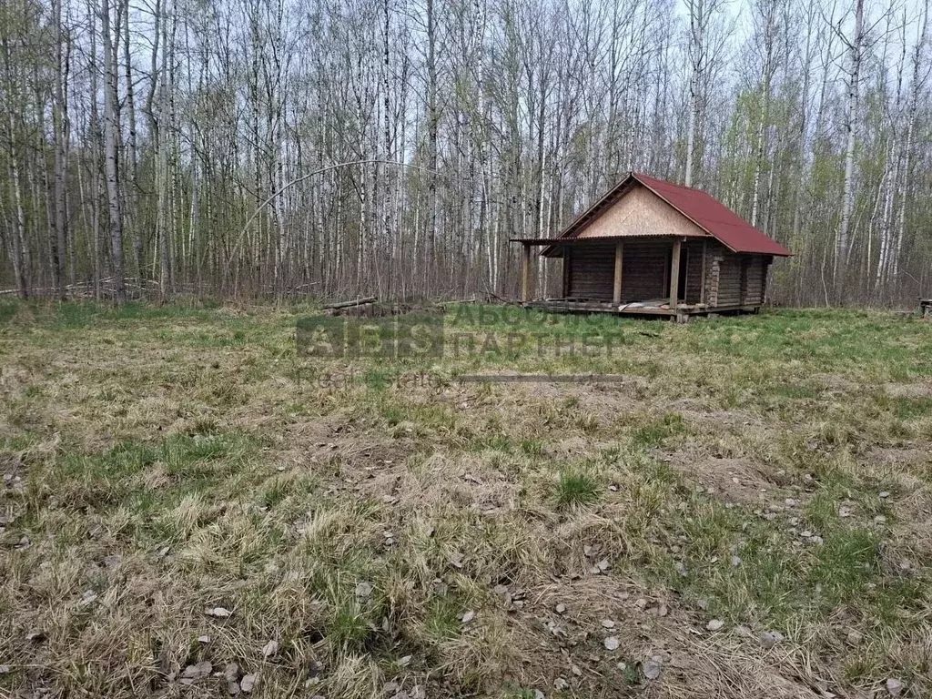 Участок в Новгородская область, Великий Новгород Береговая ул. (8.9 ... - Фото 1