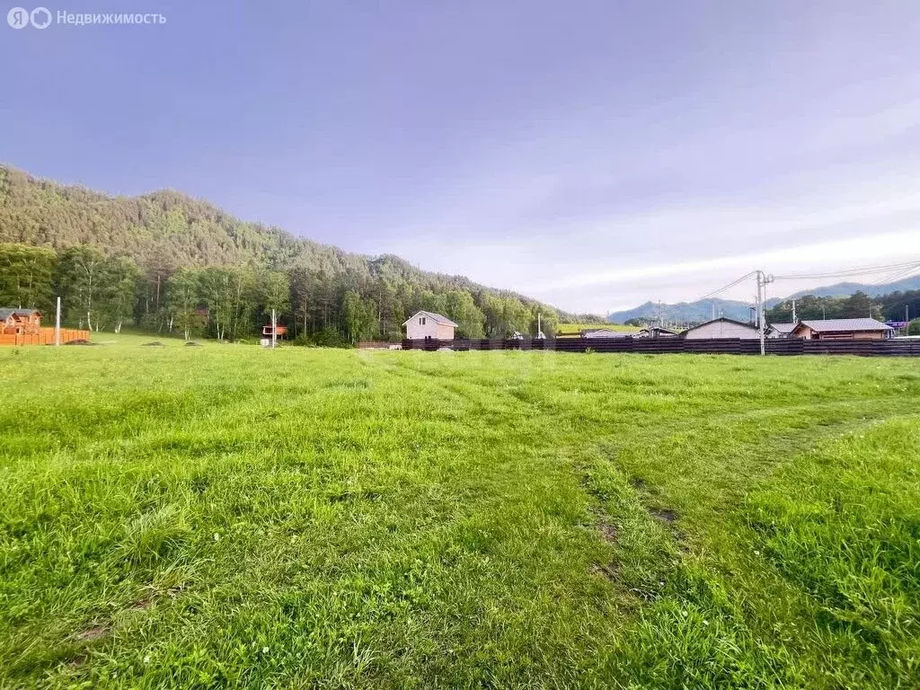 Участок в Чемальский район, село Турбаза Катунь, Новосибирская улица ... - Фото 2