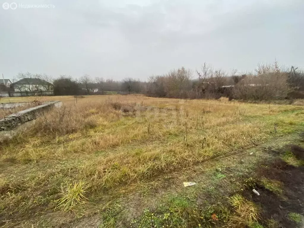 Участок в Беломестное, улица Жигалова (18.9 м) - Фото 2