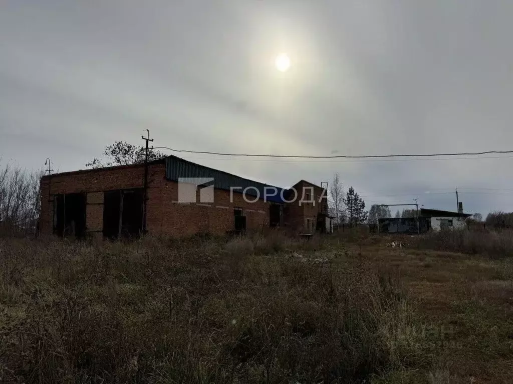 Производственное помещение в Новосибирская область, Мошковский район, ... - Фото 1