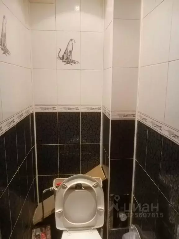 Комната Новосибирская область, Новосибирск Лазурная ул., 14 (14.0 м) - Фото 2