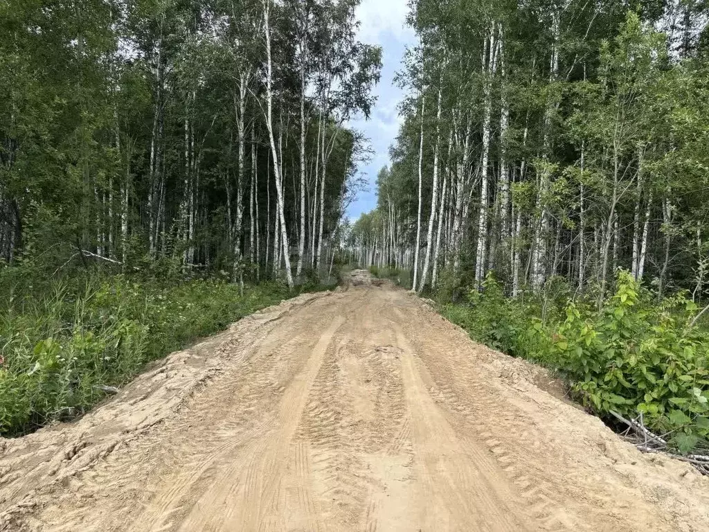 Участок в Тюменская область, Нижнетавдинский муниципальный округ, ... - Фото 1