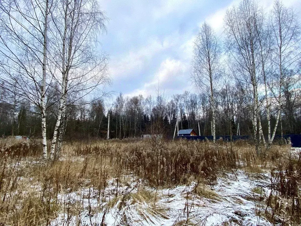 Участок в Московская область, Рузский городской округ, пос. ... - Фото 0