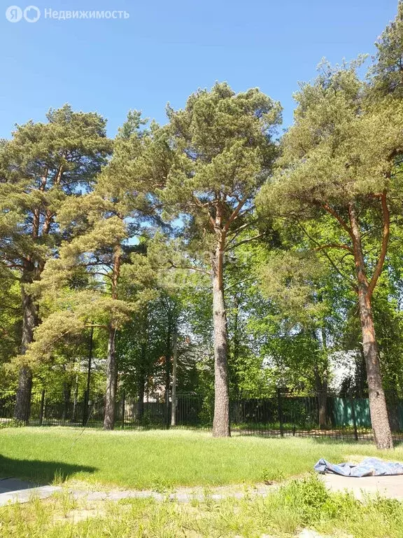 Участок в село Жаворонки, Болотная улица (8.18 м) - Фото 2