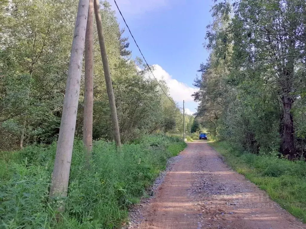 Участок в Ленинградская область, Выборгский район, Красносельское ... - Фото 1