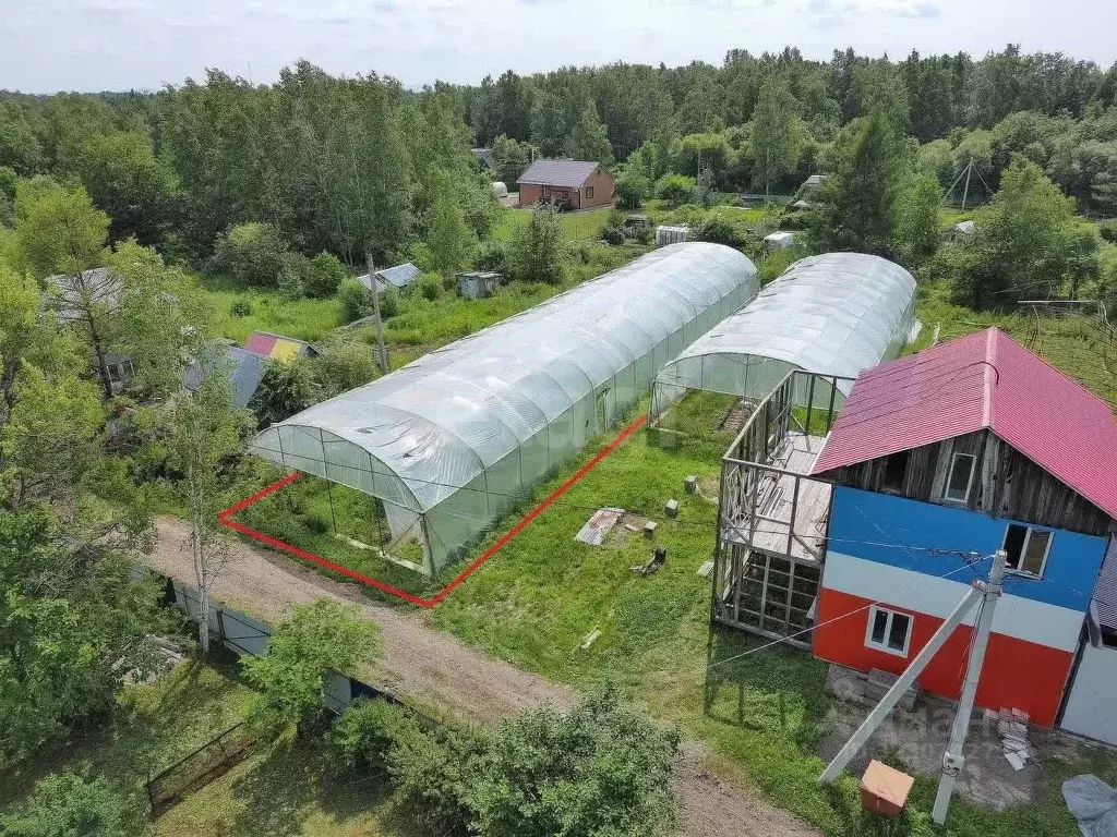 Участок в Хабаровский край, Хабаровский район, с. Черная Речка, ... - Фото 1