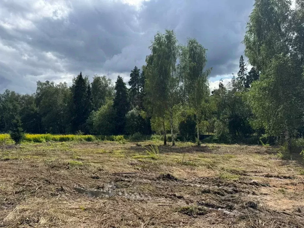 Участок в Московская область, Красногорск городской округ, д. ... - Фото 2