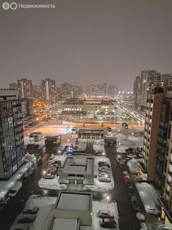 Квартира-студия: Санкт-Петербург, улица Адмирала Черокова, 22 (24.3 м) - Фото 1