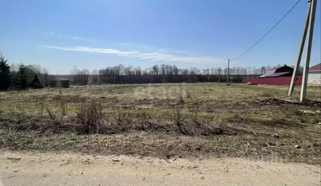 Участок в Московская область, Рузский муниципальный округ, д. Кокшино  ... - Фото 2