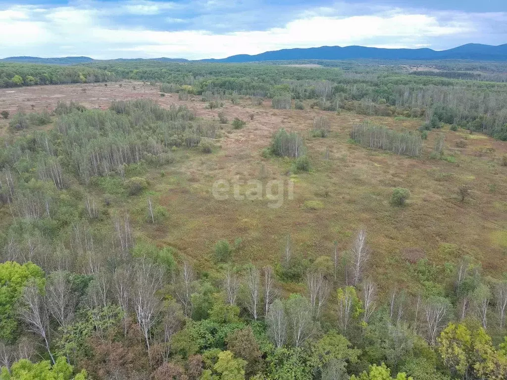 Участок в Хабаровский край, Хабаровский район, с. Корсаково-2  (110.0 ... - Фото 2