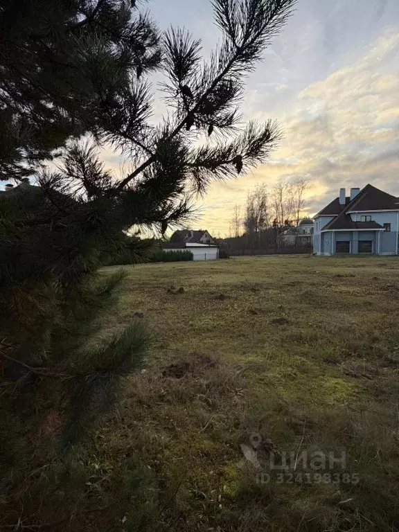 Участок в Московская область, Истра муниципальный округ, д. Аносино, ... - Фото 1