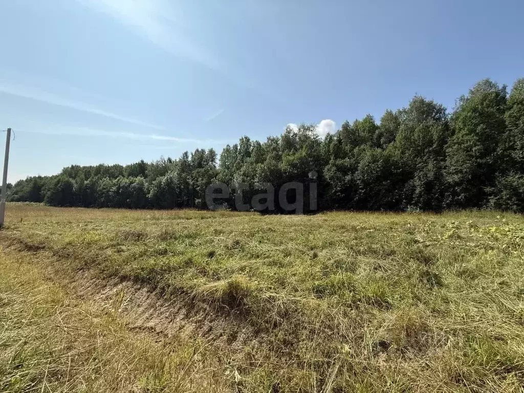 Участок в Коми, Сыктывдинский район, с. Выльгорт  (17.7 сот.) - Фото 0