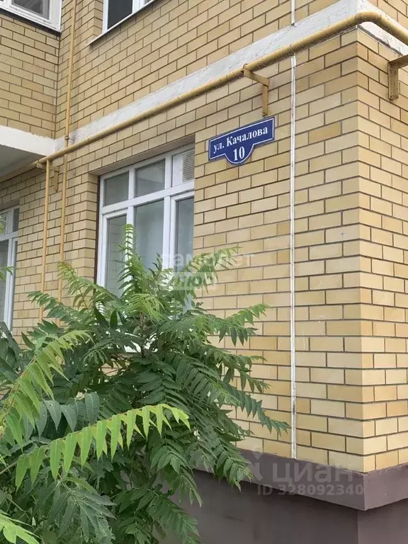Офис в Липецкая область, Липецк ул. Качалова, 10 (24 м) - Фото 1