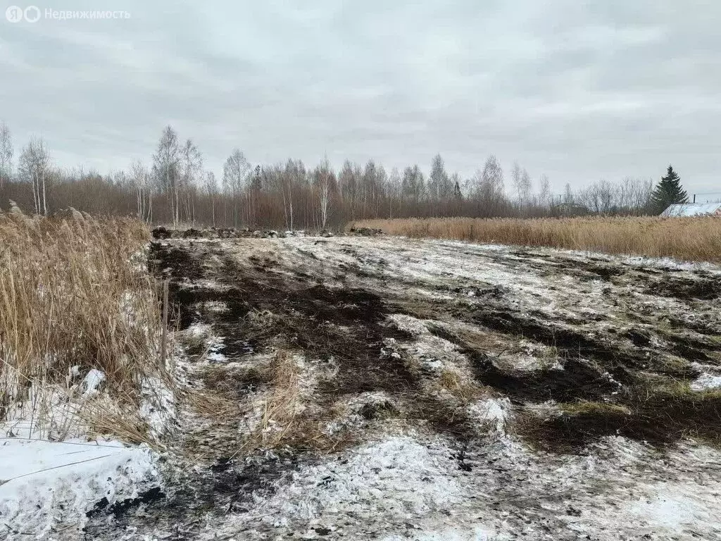 Участок в Тюмень, садовое товарищество Липовый Остров, 13-я Восточная ... - Фото 1