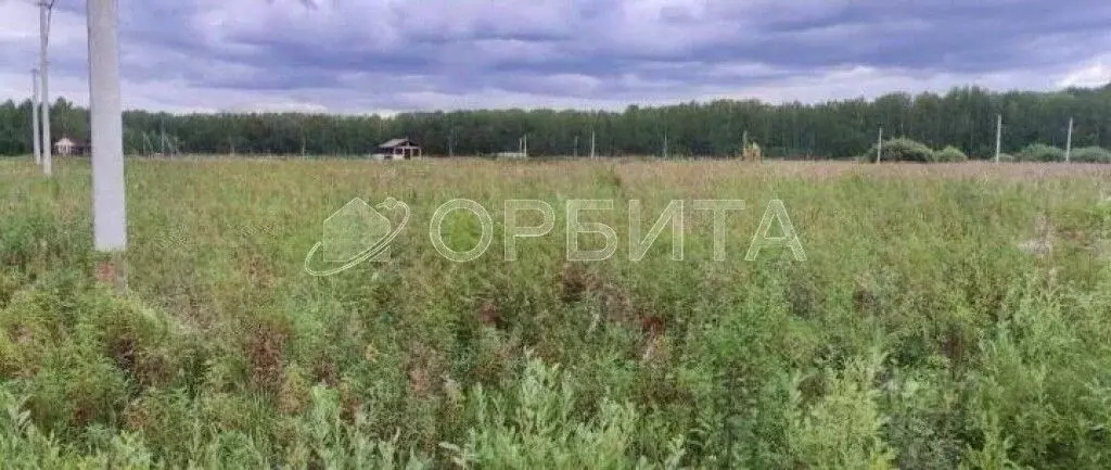 Участок в Тюменская область, Тюменский муниципальный округ, д. Большие ... - Фото 1