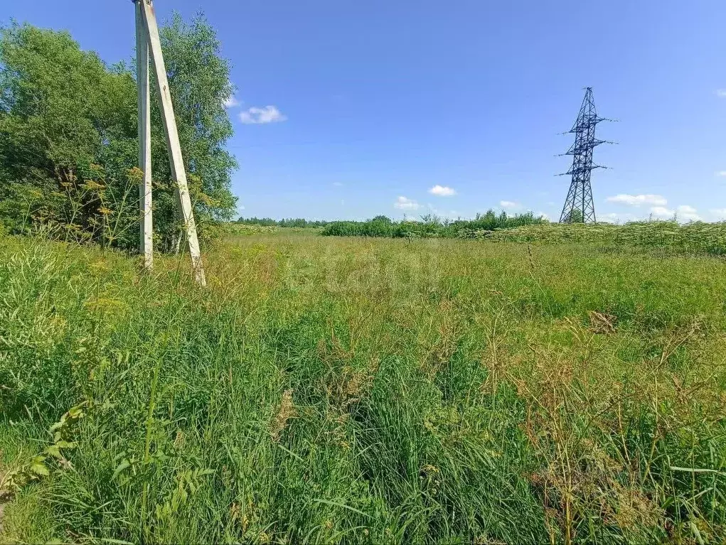 Участок в Ярославская область, Ярославский муниципальный округ, д. ... - Фото 1