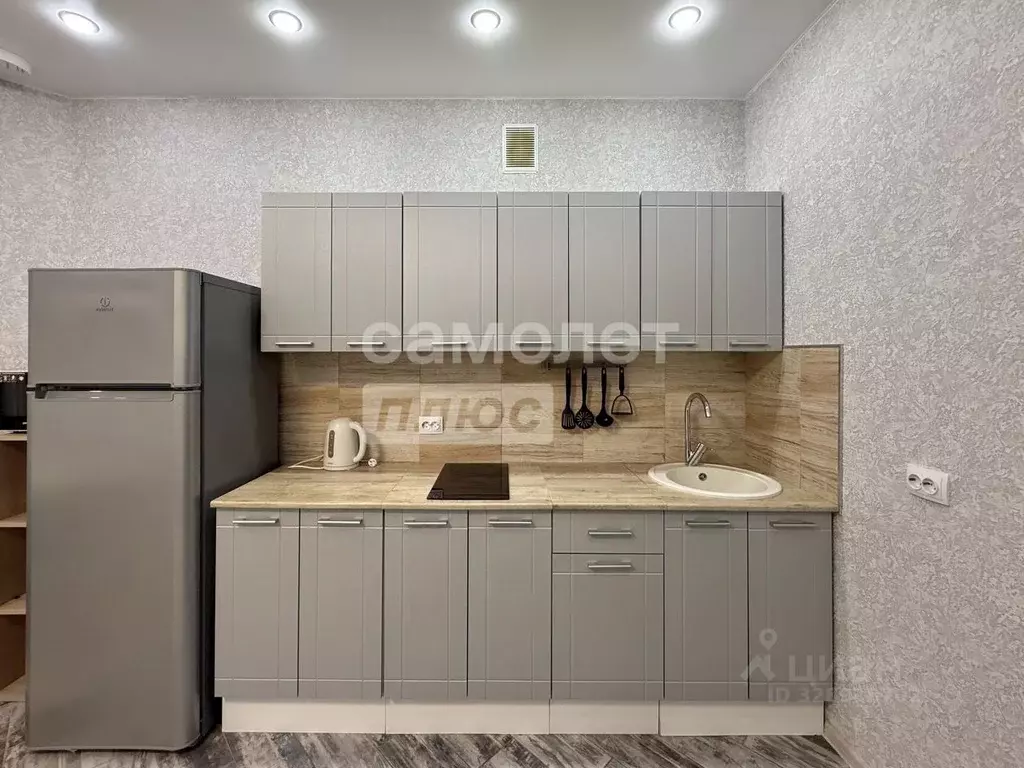 Студия Пензенская область, Пензенский район, Засечный сельсовет, с. ... - Фото 2