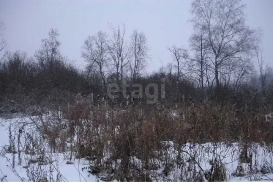 Участок в Амурская область, Благовещенск Бархат тер.,  (5.6 сот.) - Фото 0