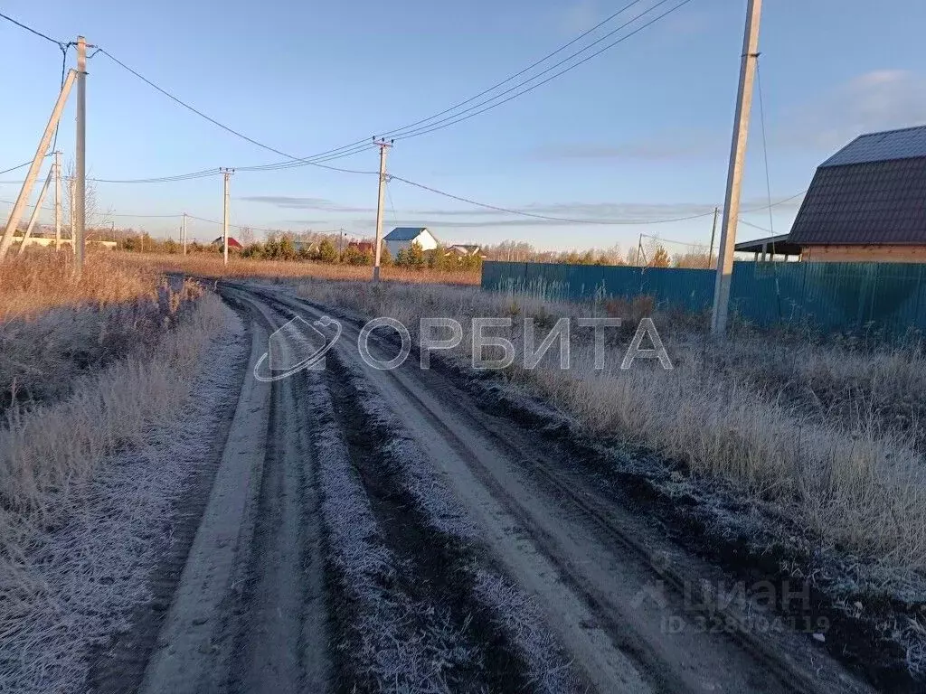 Участок в Тюменская область, Тюменский муниципальный округ, Лоза СНТ ... - Фото 1