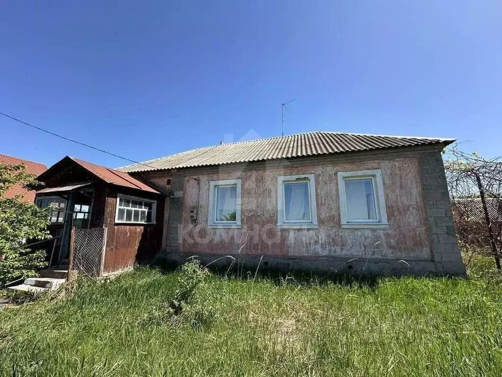 Дом в Воронежская область, Рамонский район, Новоживотинновское с/пос, ... - Фото 2