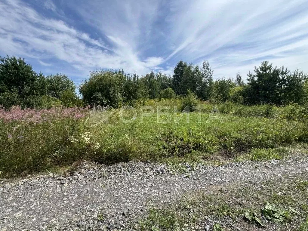 Участок в Тюменская область, Тюменский муниципальный округ, ... - Фото 1