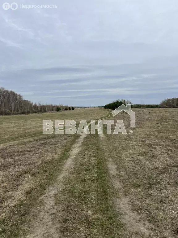 Участок в Тюменский район, деревня Речкина (11 м) - Фото 1