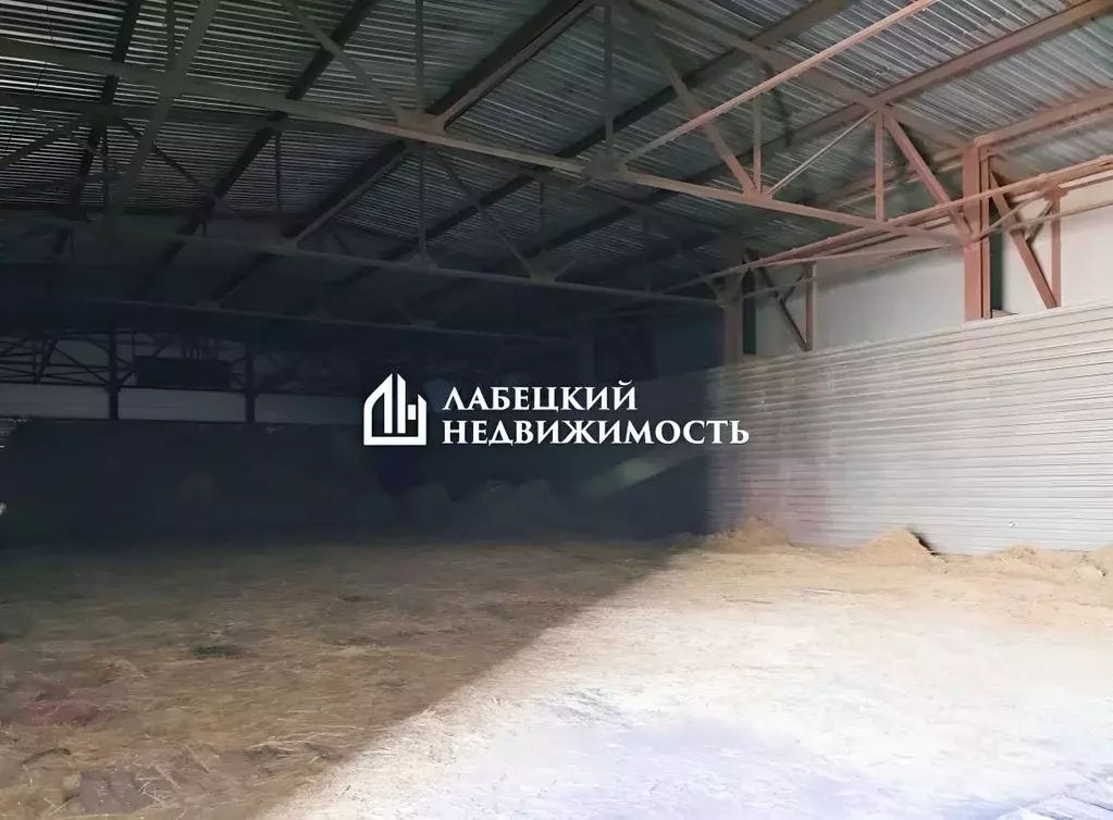 Склад в Ленинградская область, Всеволожский район, Токсовское ... - Фото 1