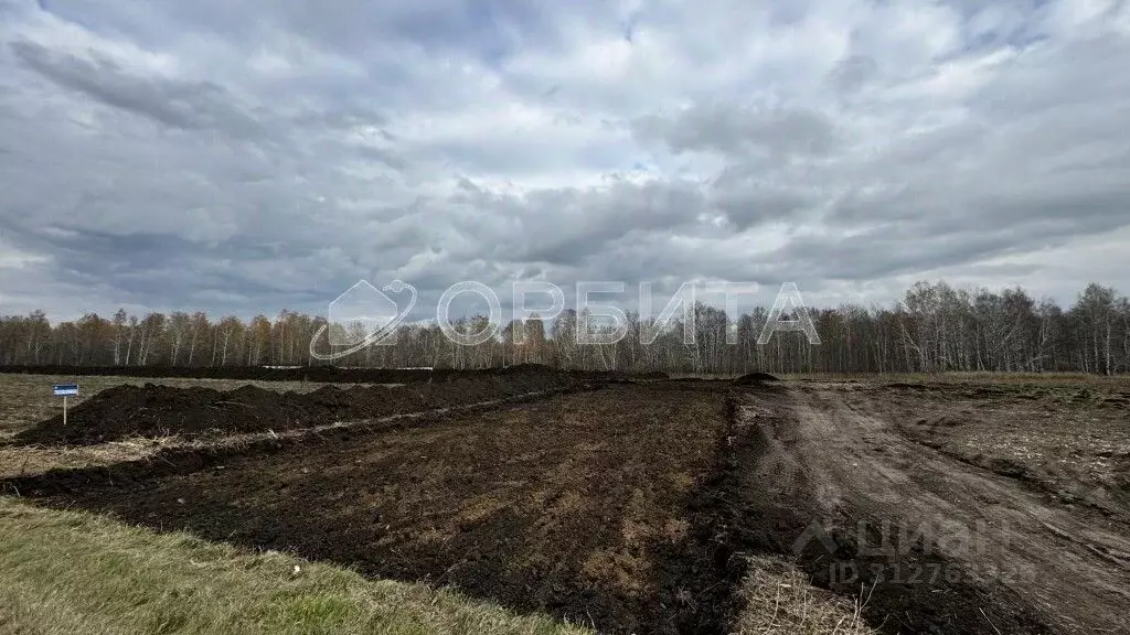 Участок в Тюменская область, Тюменский район, д. Малиновка  (7.0 сот.) - Фото 0