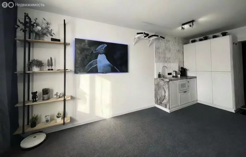 Квартира-студия: Кемерово, Мирная улица, 8 (18.3 м) - Фото 1