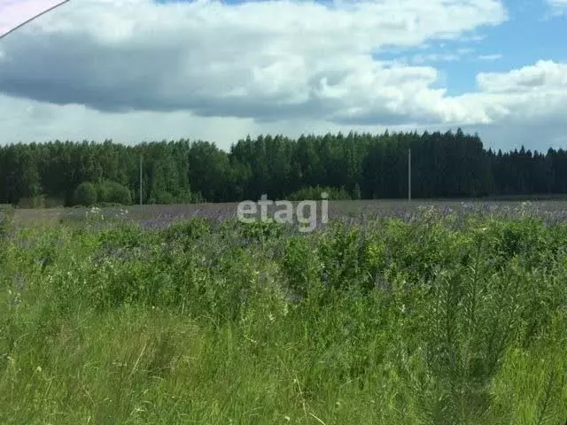 Участок в Кировская область, Киров городской округ, д. Эсауловы  (15.0 ... - Фото 1