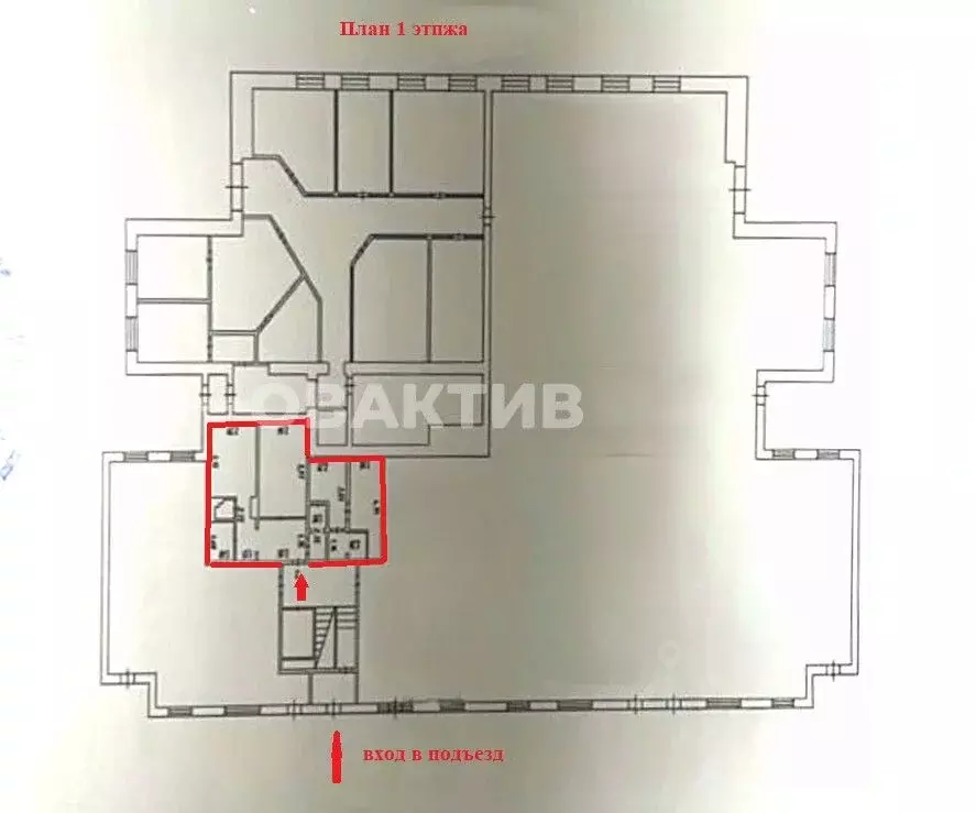 Помещение свободного назначения в Кемеровская область, Прокопьевск ул. ... - Фото 2