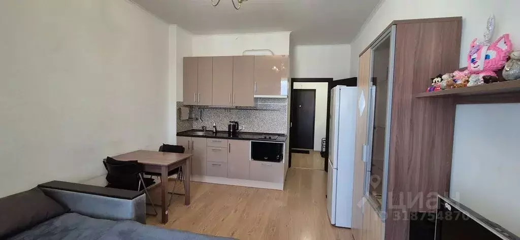 Студия Санкт-Петербург просп. Ветеранов, 169к3 (24.0 м) - Фото 1