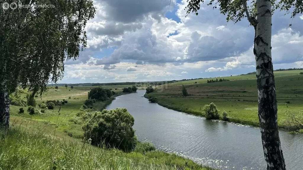Участок в Киреевский район, сельское поселение Богучаровское, деревня ... - Фото 1