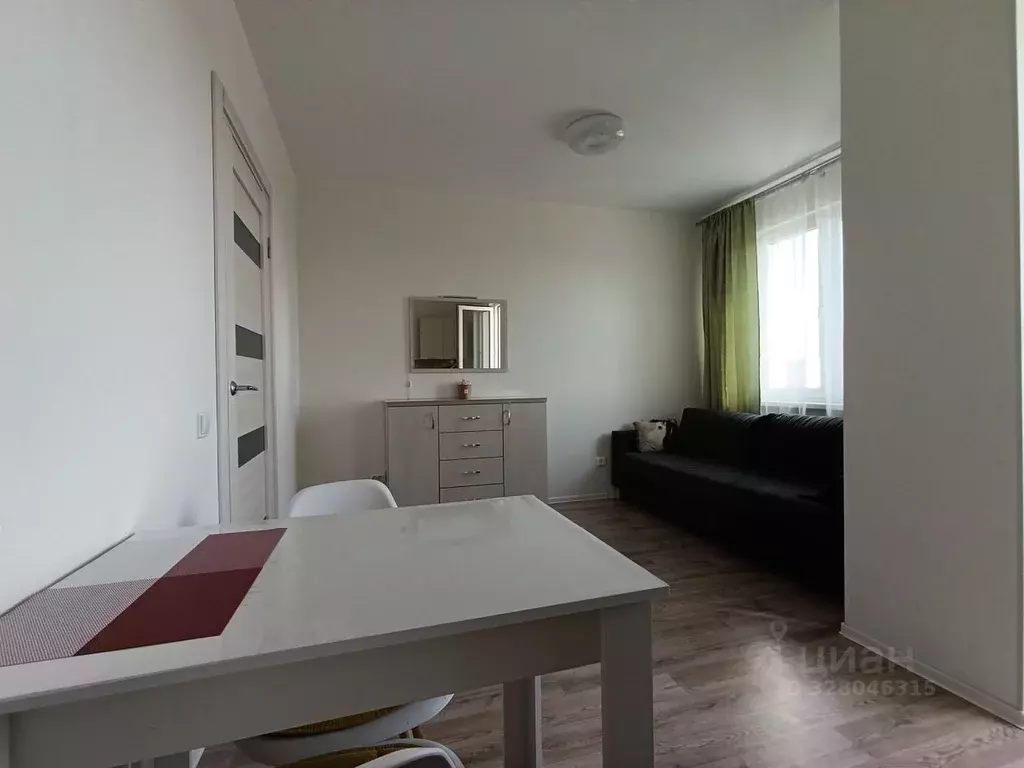 Студия Санкт-Петербург дор. Муринская, 12к1 (21.3 м) - Фото 2