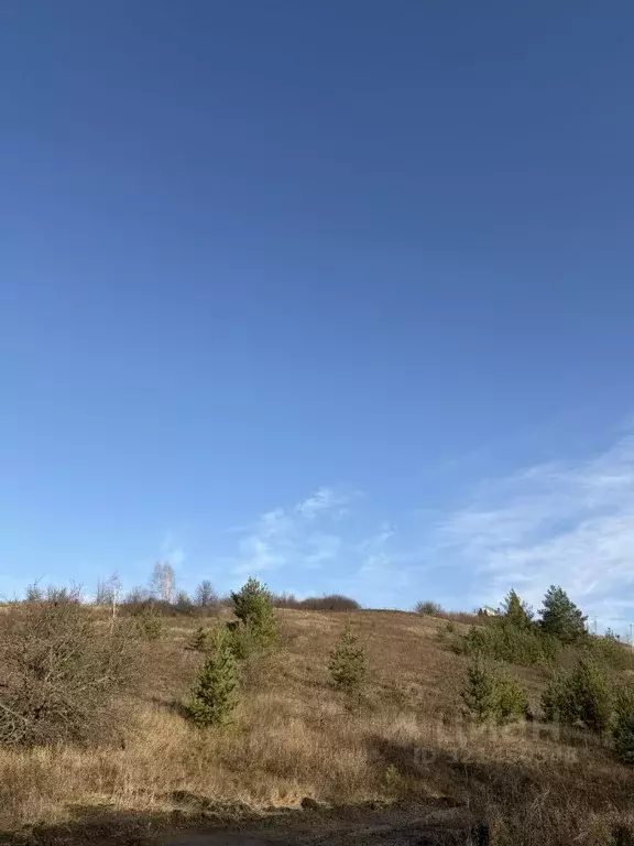 Участок в Белгородская область, Белгородский район, Дубовское с/пос, ... - Фото 2