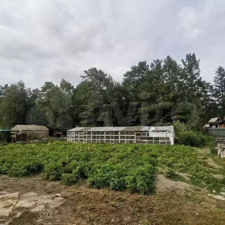 Участок 6 сот. (СНТ, ДНП) - Фото 1