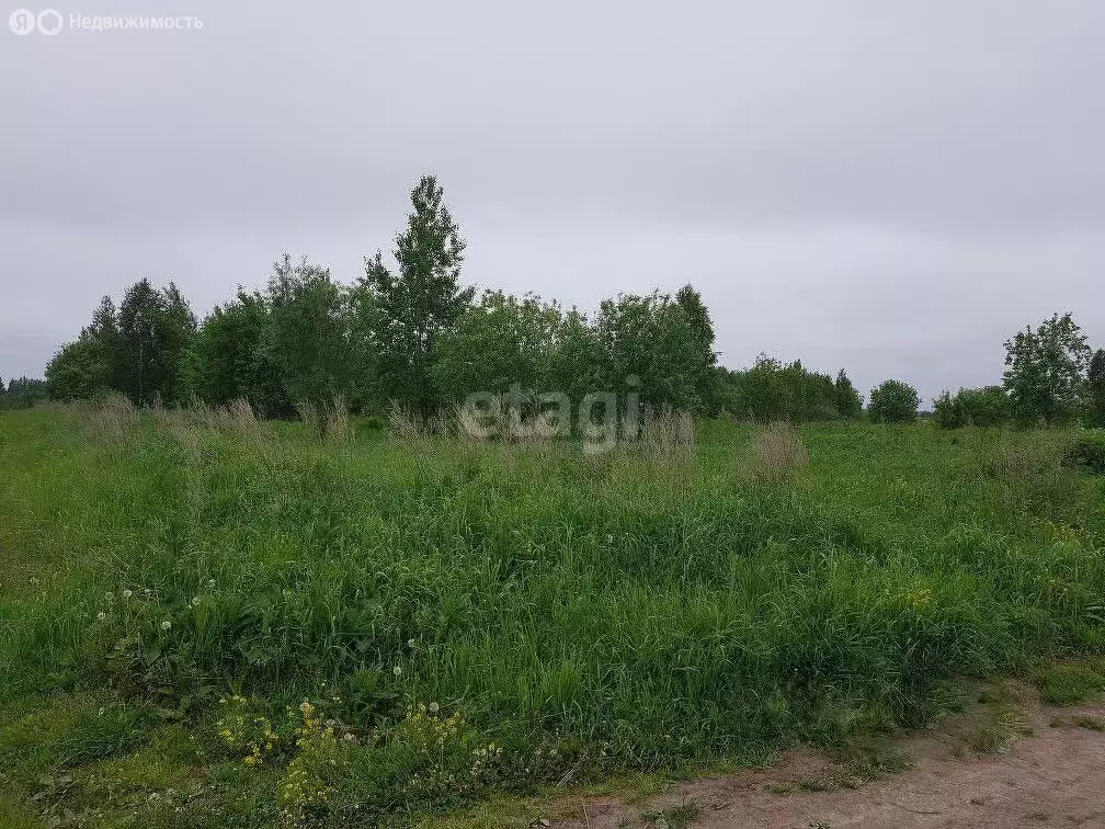 Участок в село Семилужки, Новая Нагорная улица (15.3 м) - Фото 0